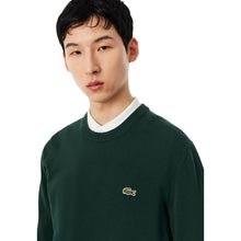Lacoste Pullover Herren